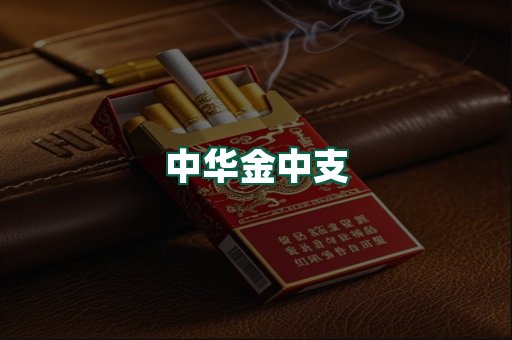 中华金中支